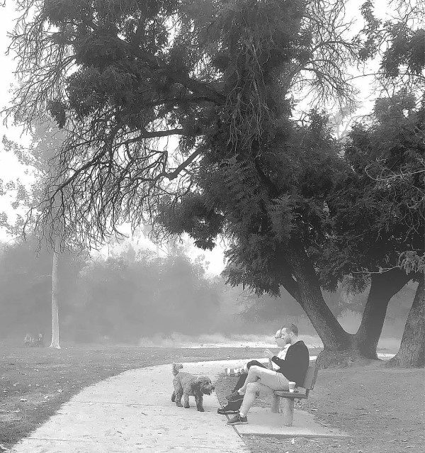 Misty Day by Anat Ambar