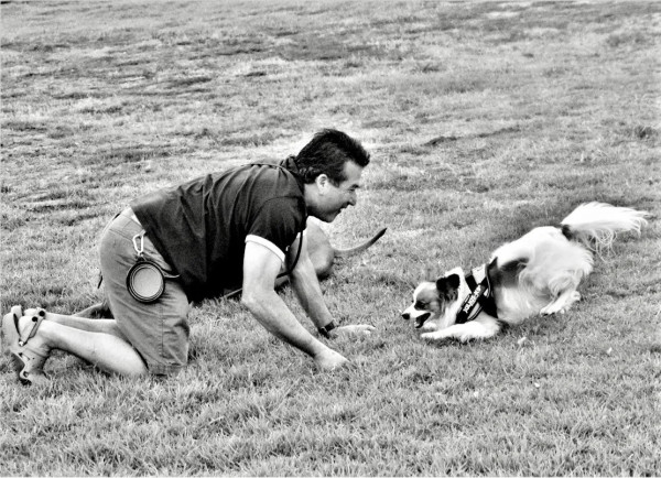 Dog Play by Anat Ambar