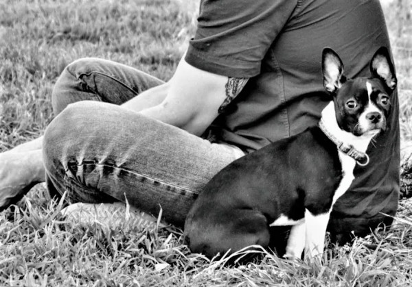 Dog Sitting by Anat Ambar