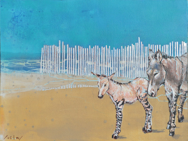 Zonkeys / Burros- cebras by eE.l.os