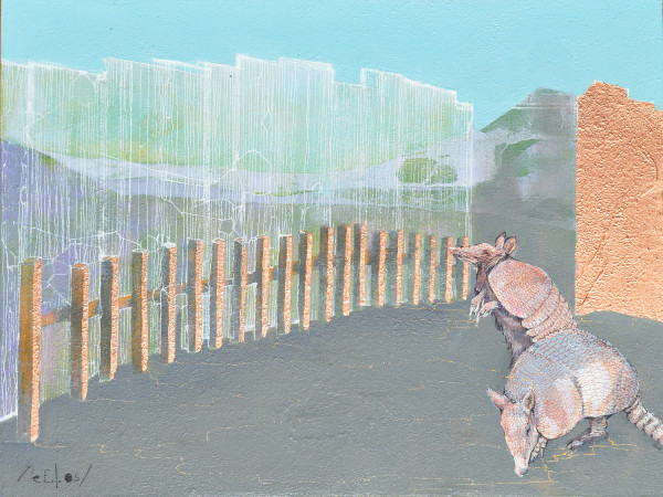 Armadillo / Cachicamo by eE.l.os