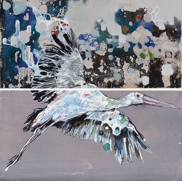 Cigüeña / Stork