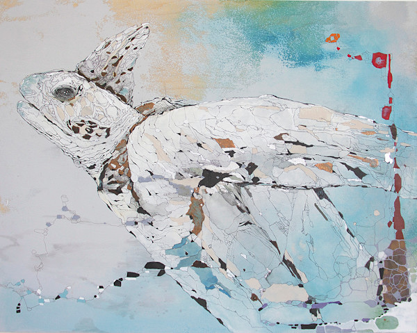 Tortuga/ Turtle by eE.l.os