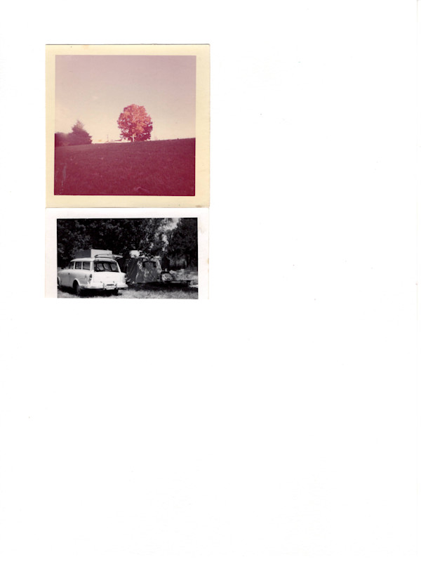 61/55 by Samm McAlear