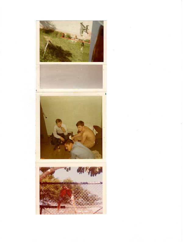 64/65/64/73 by Samm McAlear