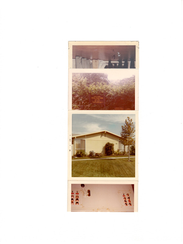 64/73/69/71 by Samm McAlear