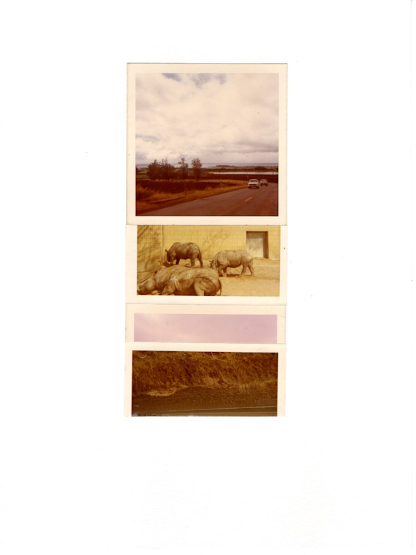 71/64/71/64 by Samm McAlear