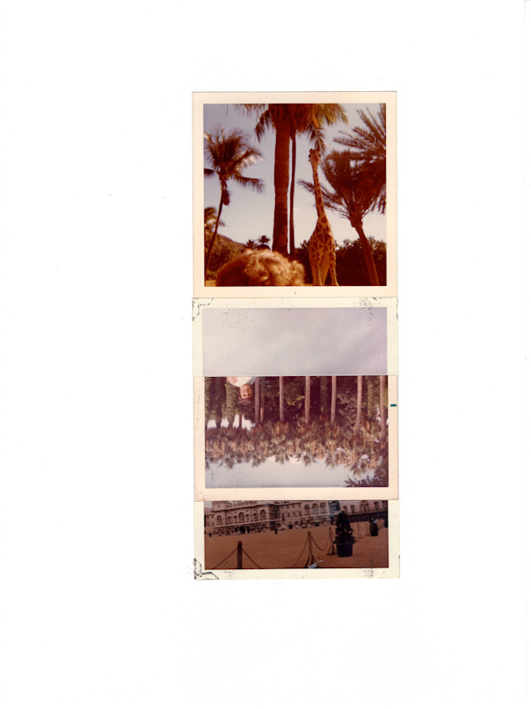 73/65/64/65 by Samm McAlear