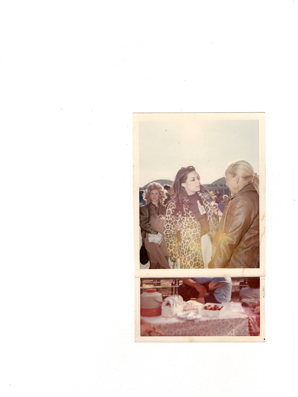 70/72 by Samm McAlear