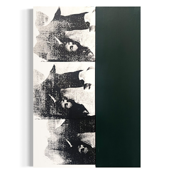 An Ode to my Neighbor (Lumia’s Green) 02 by Samm McAlear