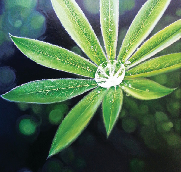 Jewel by Heather Bradbury