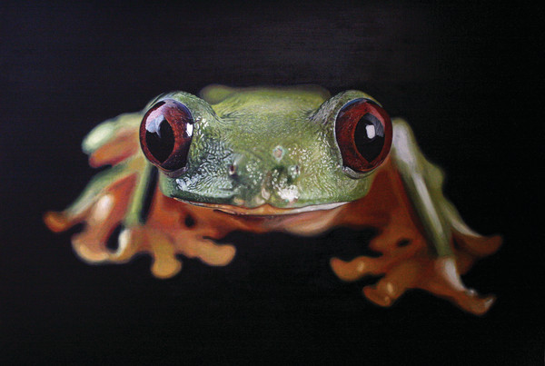 Ready by Heather Bradbury