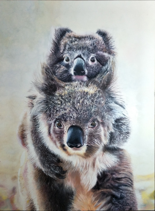 Carried by Heather Bradbury