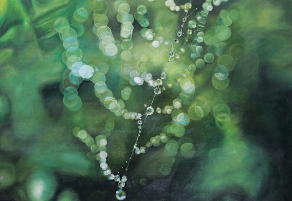 Clarity by Heather Bradbury