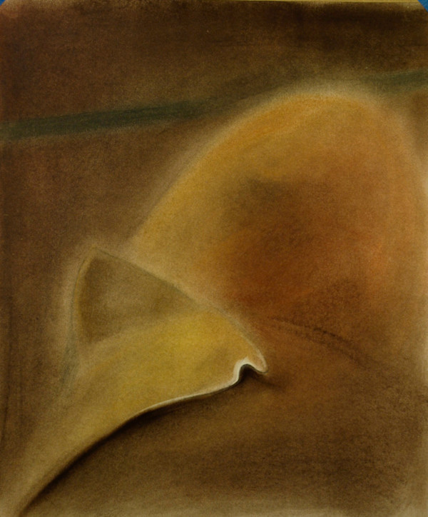 Kaleshwara by PE Pinkman