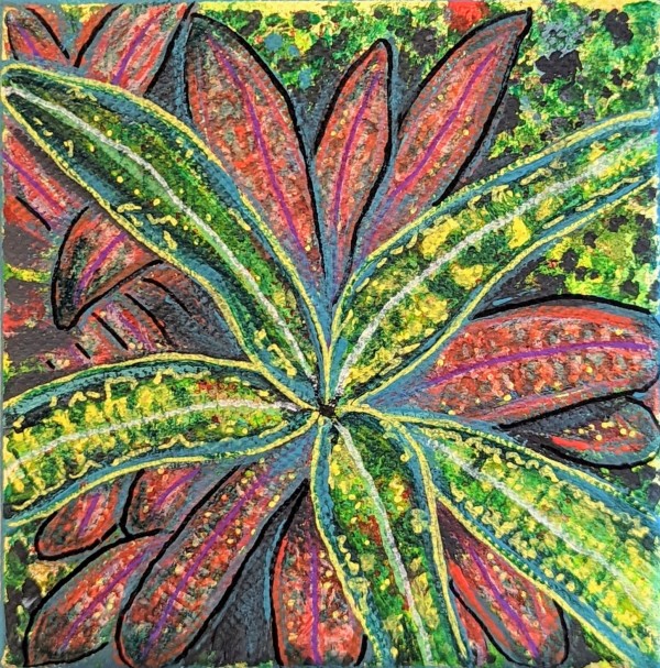 Splatter Croton Plant by Roshni Patel