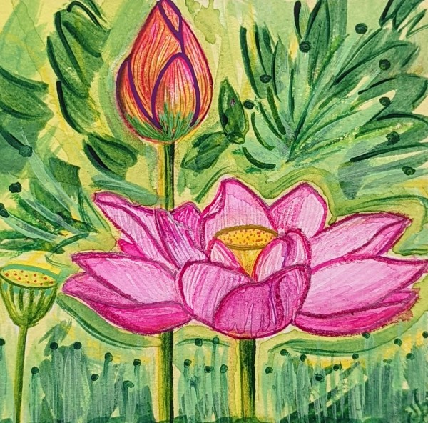 Stages of Lotus in Bloom by Roshni Patel