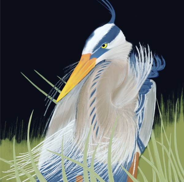 Heron by Roshni Patel