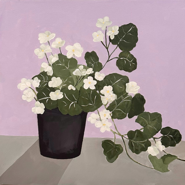 Geraniums | Framed by amanda rubenstein
