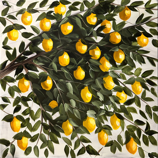 Lemon Tree #11 | Framed by amanda rubenstein
