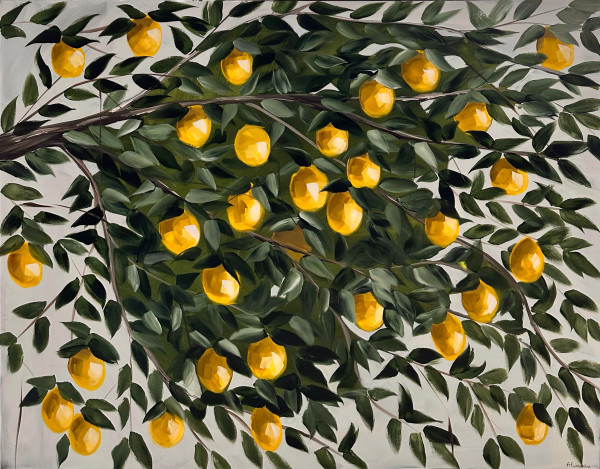 Lemon Tree #12 | Framed by amanda rubenstein