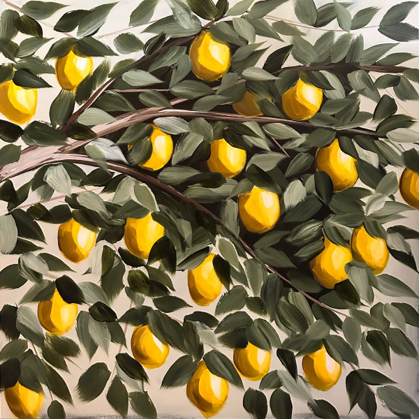 Lemon Tree #16 | Framed by amanda rubenstein