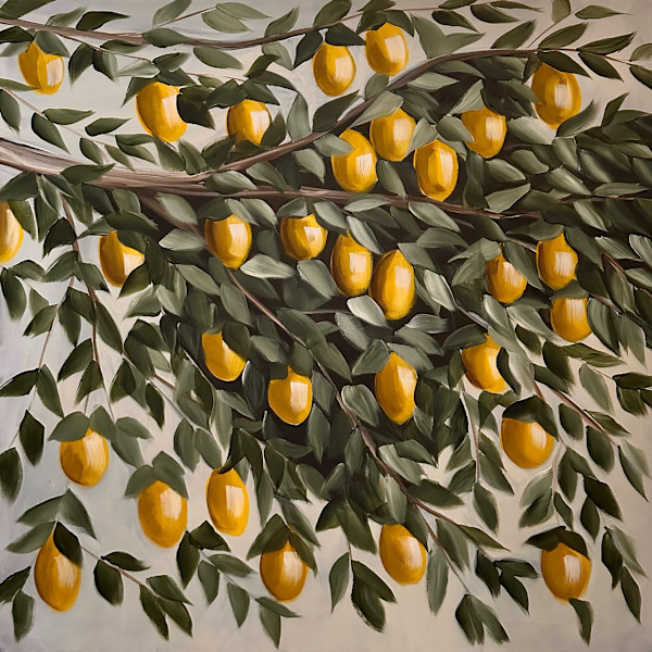 Lemon Tree #17 | Framed by amanda rubenstein