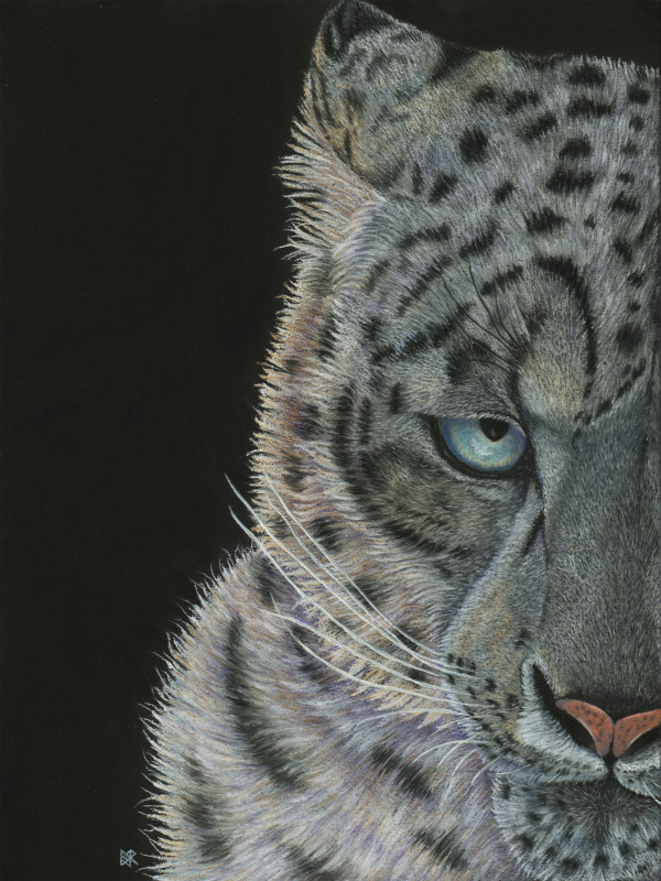 PatternEyes - Snow Leopard by Lori Corbett