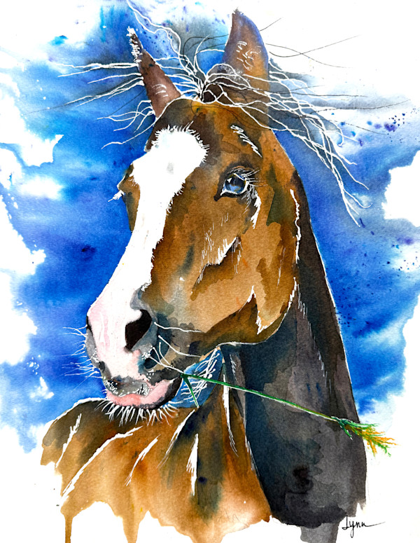Summer Breeze by Lynn Shield, Image 1.