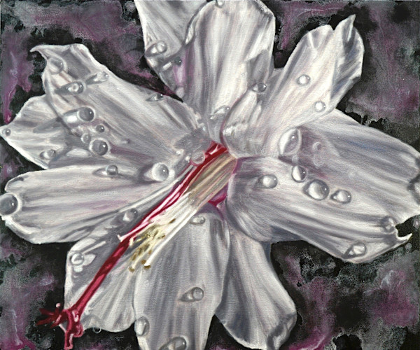 Christmas Cactus by Gail Roberts, Image 10.