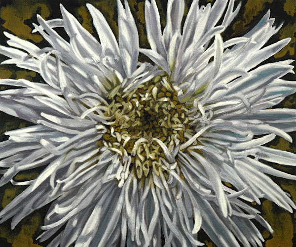 Shasta Daisy by Gail Roberts, Image 3.