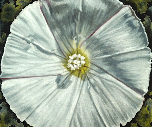 Jimson Weed by Gail Roberts, Image 2.