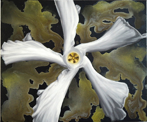Confederate Jasmine by Gail Roberts, Image 15.