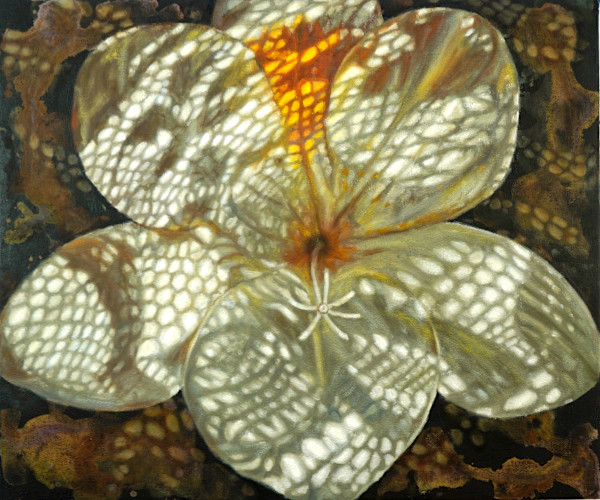Nano White Freesia by Gail Roberts, Image 17.