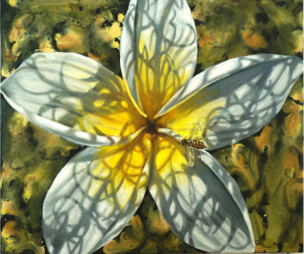 East Indian Jasmine by Gail Roberts, Image 16.