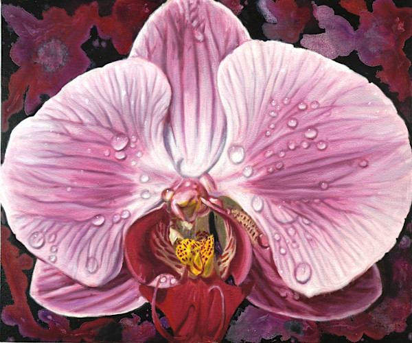 Moth Orchid by Gail Roberts, Image 13.