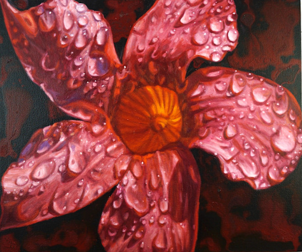 Bella Scarlet Mandevilla by Gail Roberts, Image 20.