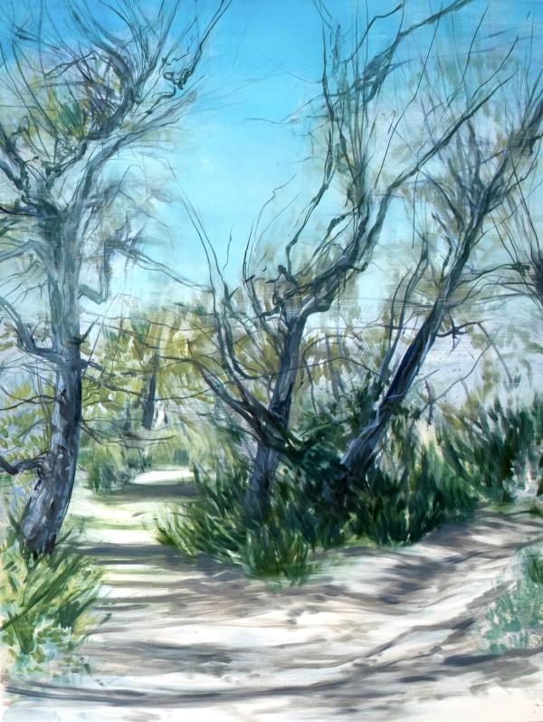 Split Path by Melanie Taylor, Image 1.