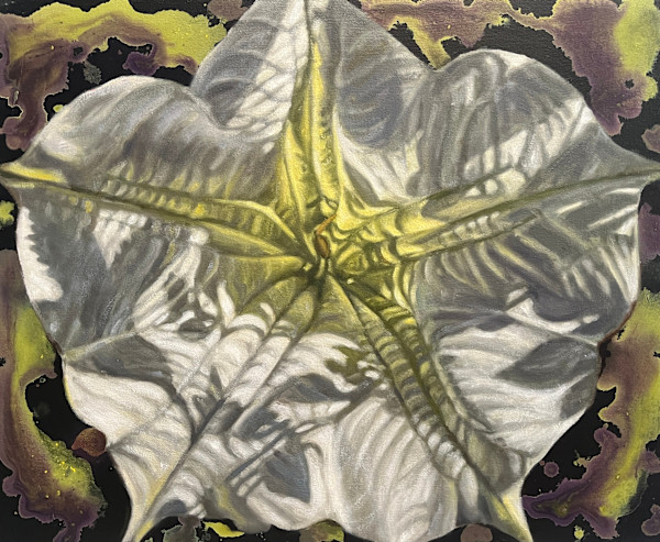 Angel's Trumpet by Gail Roberts, Image 1.