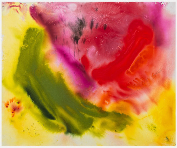 Poppy by Jane Booth, Image 1.
