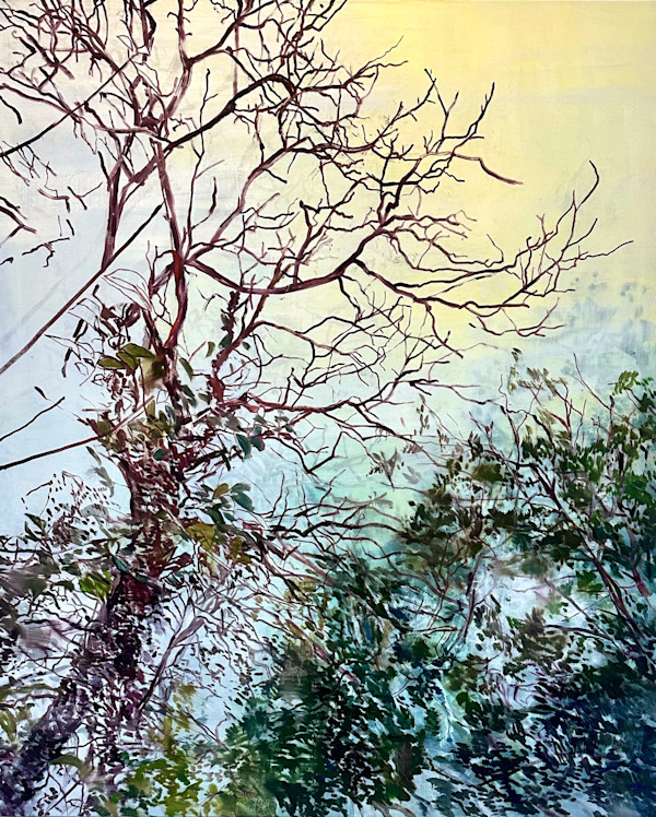 Thicket by Melanie Taylor, Image 8.