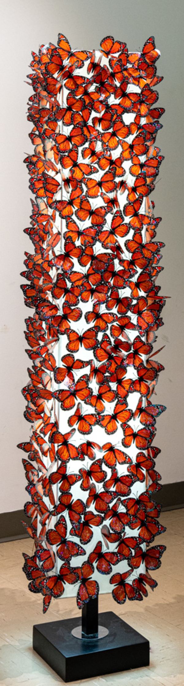 Butterfly Wings by Vicky Lentz