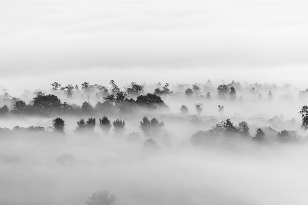 The Earth Disappeared in Layers by Ruth Delaney, Image 1.