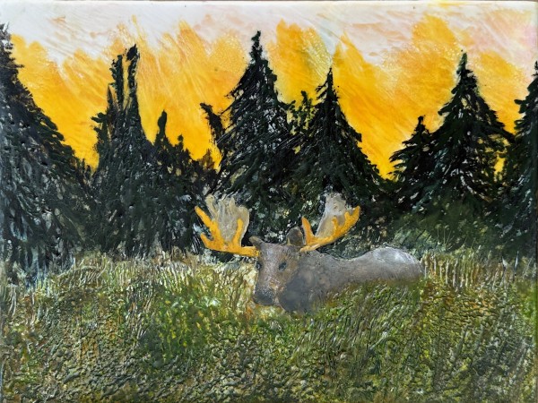 Moose in Field by Laura Drew Art
