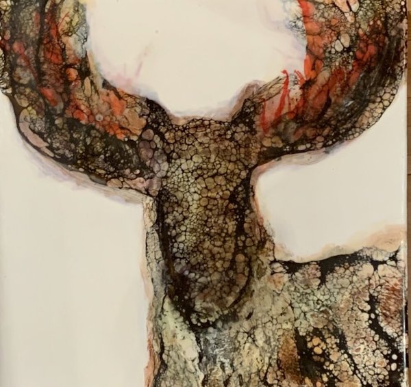 Moose by Laura Drew Art