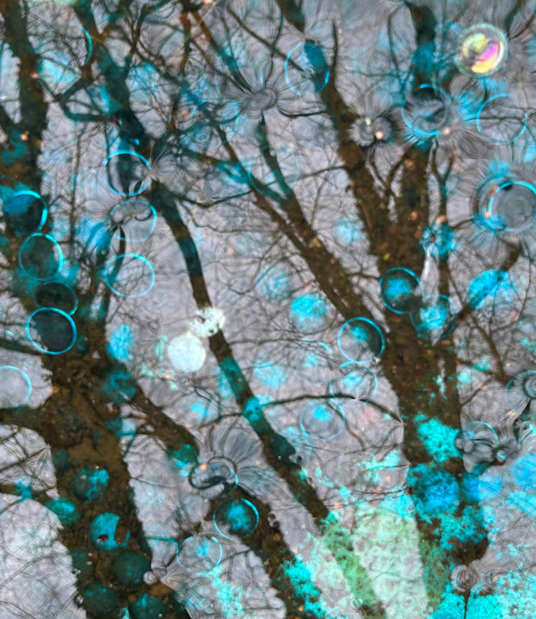 Orbs Approaching by Kathryn Endlein Redden