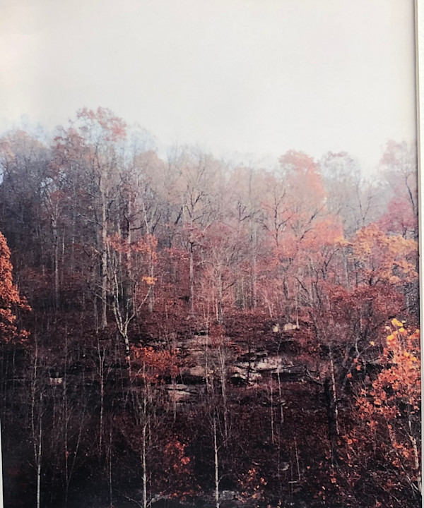 Sentinels by Kathryn Endlein Redden