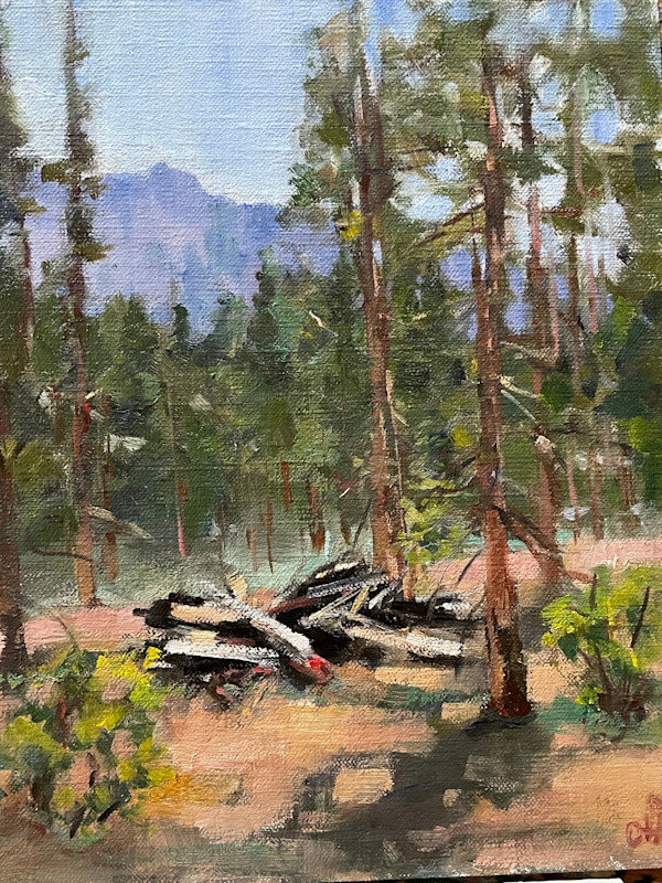 After Prescribed Burn by Olga Hegner, Image 1.