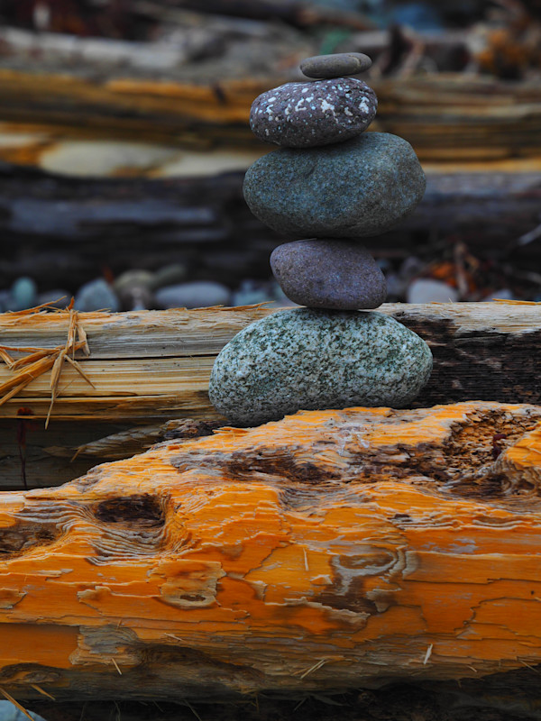 Driftwood and Stones, Goldsmiths Inlet by Susan Saunders