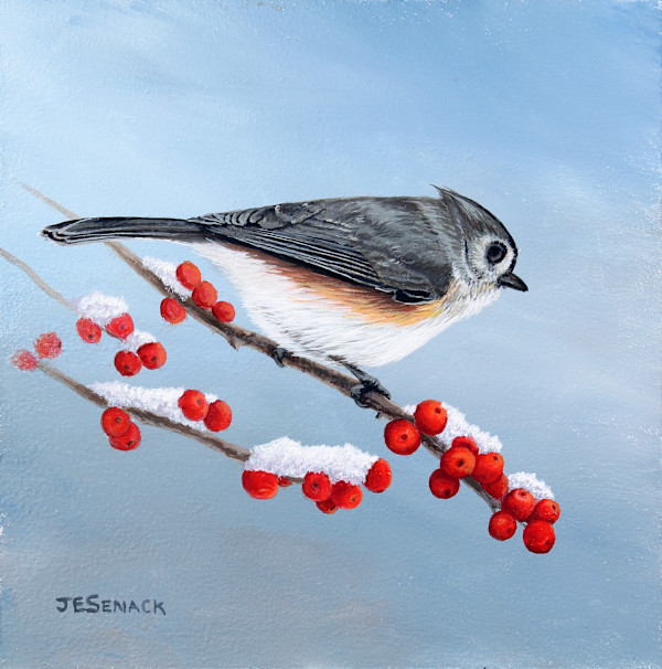 Tufted Titmouse with Winterberries by J Elaine Senack